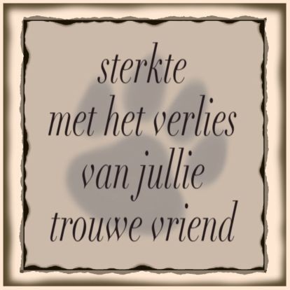 Reinate Brouwer tweet media