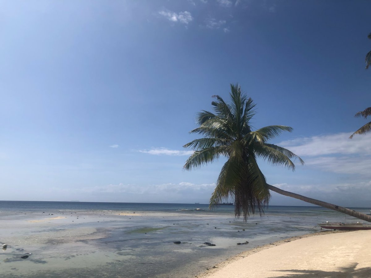 Whether you are a lion or an antelope, you must run.