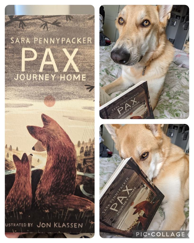 After falling in love with Pax (even naming my dog the same), I was so worried the sequel wouldn't live up to its original. But it really does. So so beautiful and heartwarming. Thank God for books like this. @sarapennypacker #readingrocks #readingforpleasure