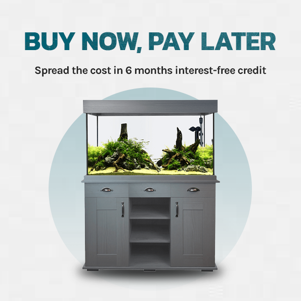 💸BUY NOW, PAY LATER💸

You can now spread the cost of your purchase with 6 months interest-free credit!📆 

bit.ly/3viDOHJ