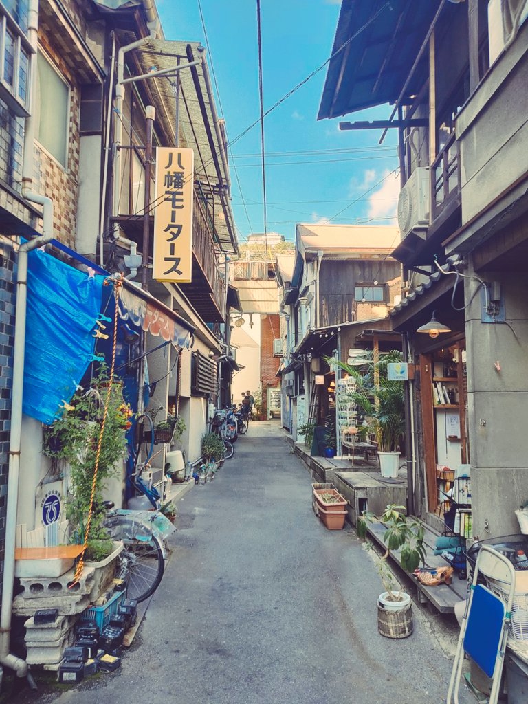 晄(アキ) tweet media