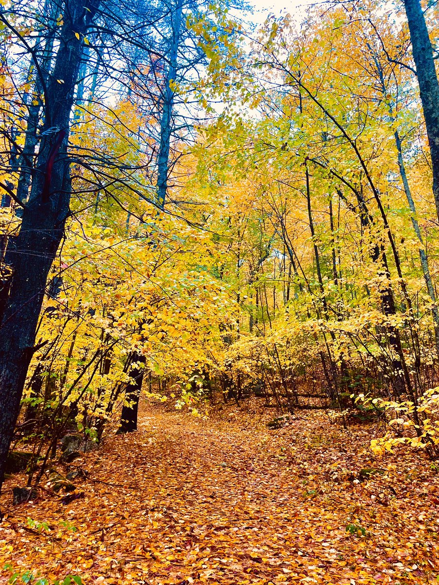 4b0ysandaqueen's tweet photo. I wish it never ended π§‘ππ
#fall #NewHampshire #fallfreak #NewEngland https://t.co/8vPoCjABJO