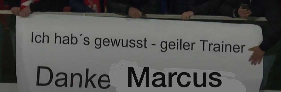 bene tweet media