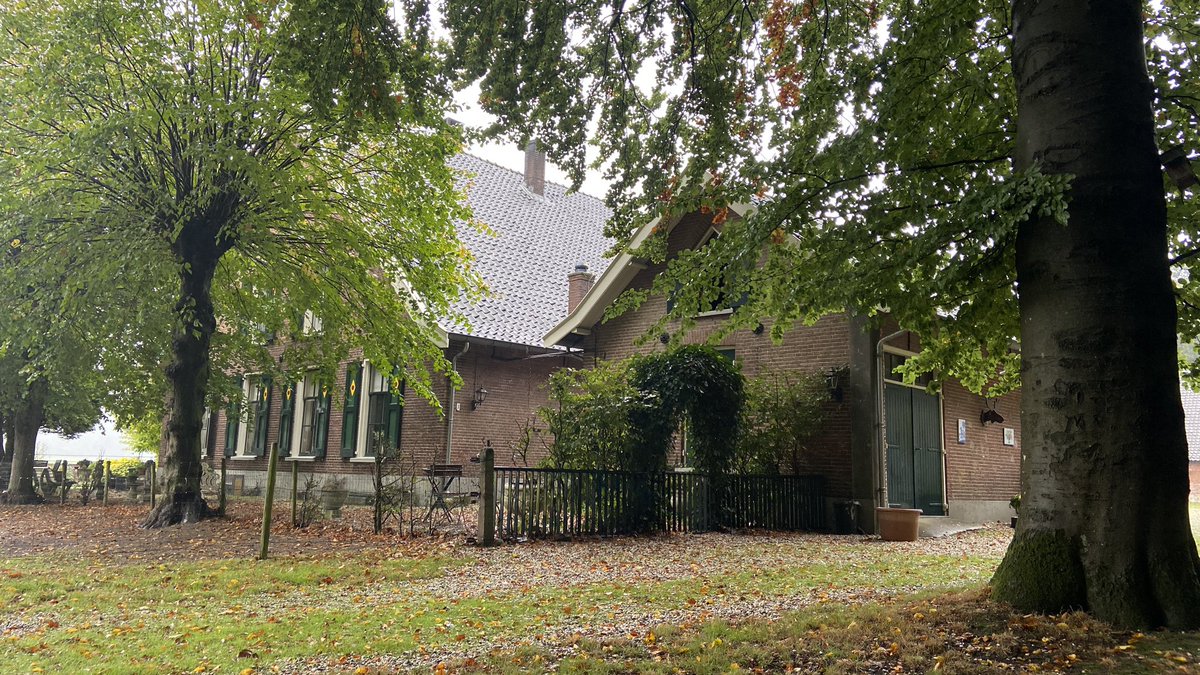 mveldhuis76's tweet photo. Hardlopen in de regen. Heerlijk. Bijna geen mensen. Deze keer rondje landgoed #Warnsborn. 

#hardlopen #running #indenatuur #fijn #veluwezoom https://t.co/NvkMWtuZ8C