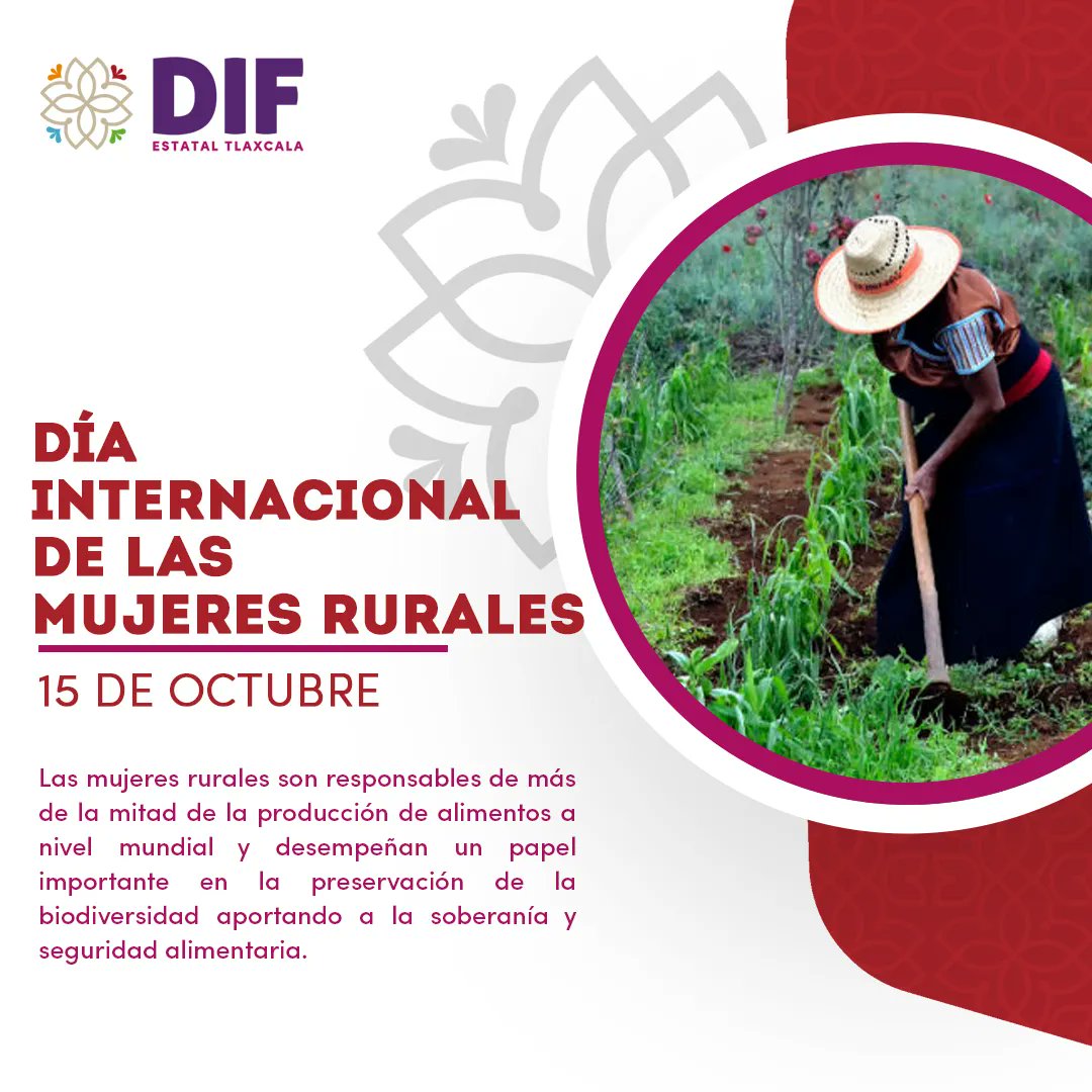 SedifTlaxcala's tweet photo. #DíaInternacionaldelasMujeresRurales
Las mujeres rurales representan más de un tercio de la #población mundial 👥 y el 43% de la mano de obra #agrícola. Labran la tierra y plantan las semillas 🌱 que #alimentan naciones enteras. Reconozcamos la labor que realizan diariamente. https://t.co/NkhqwwbJvE