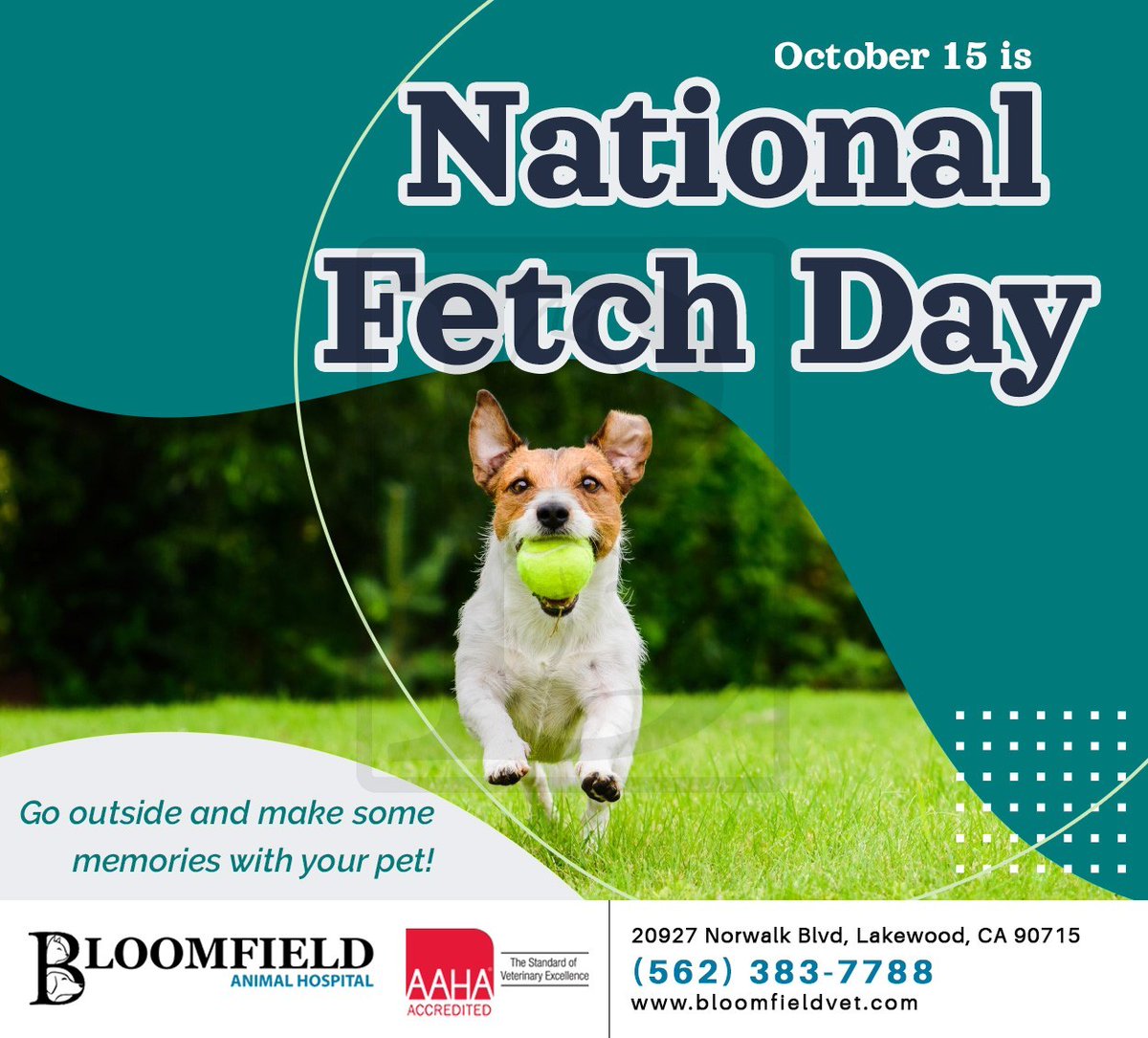 BloomfieldAHosp's tweet image. Grab your dog&apos;s favorite toy and head outside for some fun playing fetch. Fetch is a great way of bonding with your furry companion and getting some exercise. Now that&apos;s a win-win for everyone. #FetchDay #bloomfieldanimalhosp #lakewood #CA