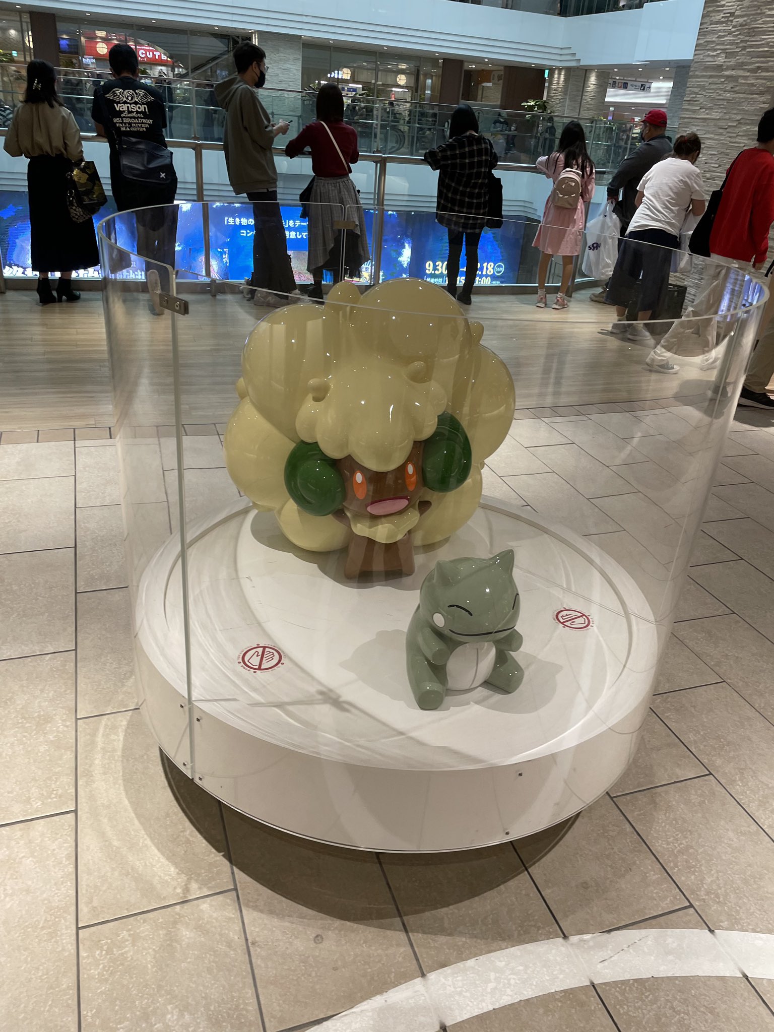 Tduポケモンサークル 東京電機大学東京千住キャンパス Tdusnjpokemon Twitter