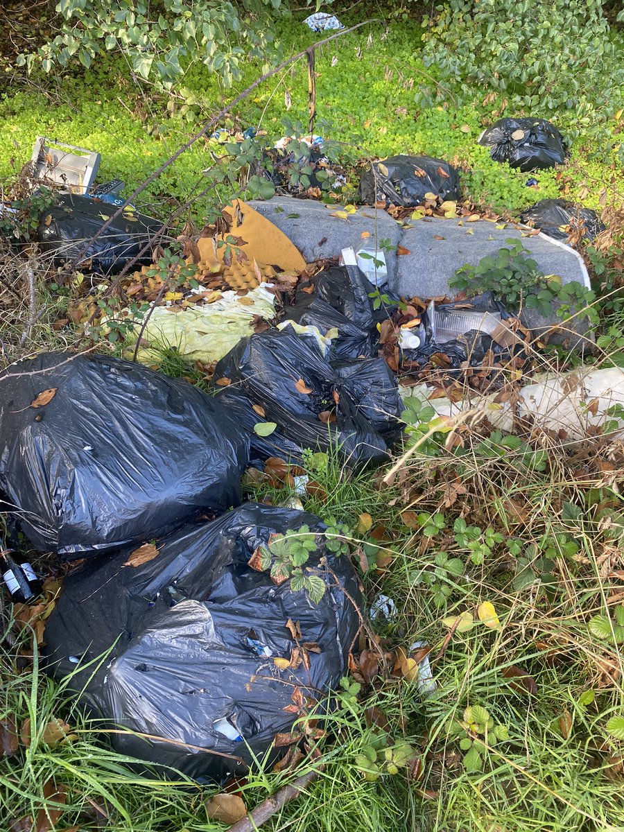 NNLitterWombles's tweet photo. Great pick with Northampton Academy, fab to see the staff and families joining us this morning. 41 bags collected #BBCMakeADifference #purplearmy @northacad @BBCNorthampton @KeepBritainTidy @AmosAnnabel @blabers @ChronandEcho @ChrisGPackham @KirstieMAllsopp https://t.co/byqCyuktmy
