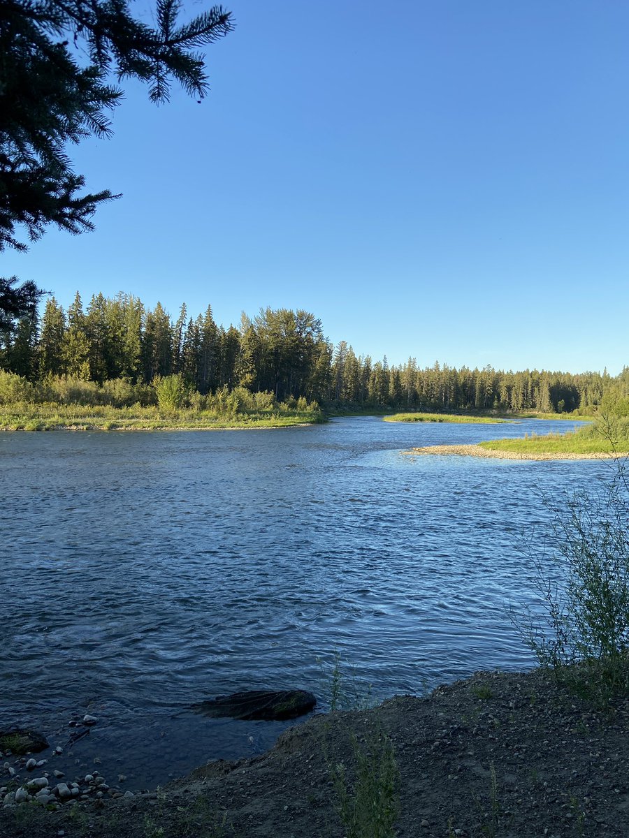 We love to walk at the dog park - it’s quiet and the views are amazing, though a little more brown this time time of year - the fall colours are beautiful. #pd4uandme