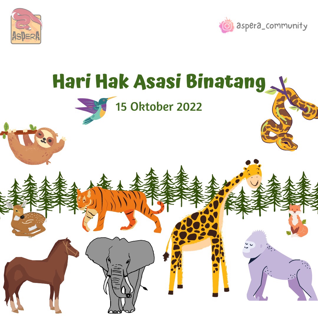 Di Indonesia perlindungan hak asasi hewan diatur dlm KUHP pasal 302 dan UU No. 18 thn 2009 ttg Peternakan dan Kesehatan Hewan, yg diubah mjd UU No. 41 thn 2014.

#WeCareAboutReptile⁣
#AsperaCommunity
#ReptileEducation⁣
#Herpetofauna
#Herpetologi
#Kehati
#Ekosistem
#Konservasi