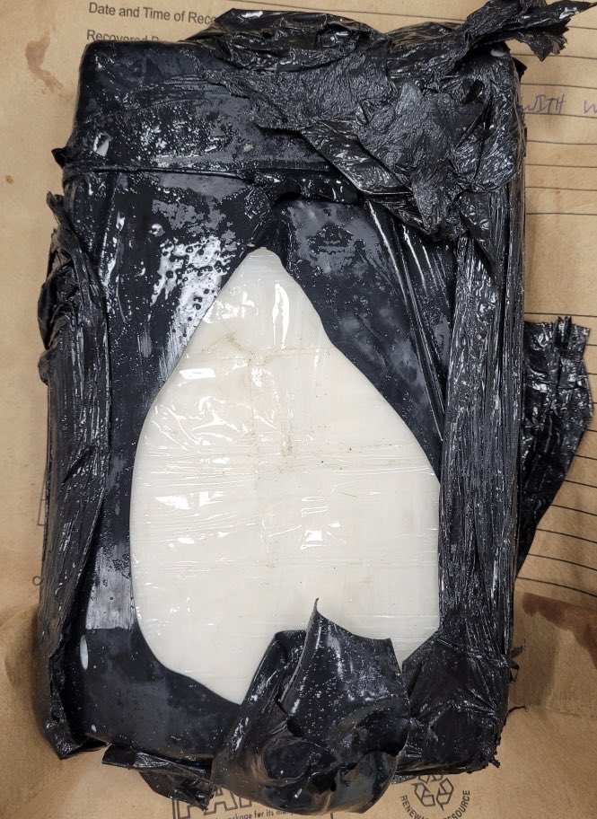 Daytona Beach, FL: A Good Samaritan discovered a suspicious package washed-up along the shoreline & contacted local authorities. Inside the package contained nearly 11 lbs. of cocaine with a street value of over $150,000. The drugs were seized by #BorderPatrol. #volusia #florida