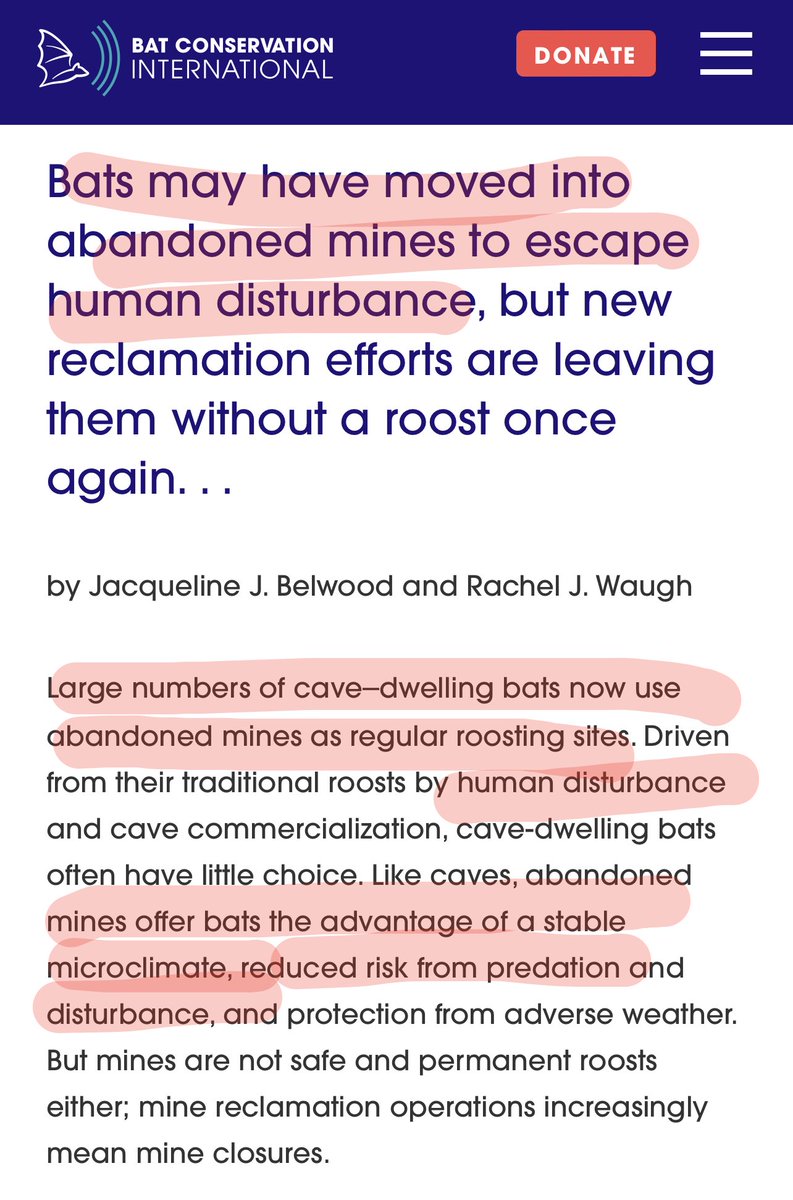xolaniboy's tweet photo. 🧵A speculative thought that imho warrants investigation wrt to Epi in this #Ebola outbreak is potential role of artisanal #gold_mining directly (as #source) or indirectly (network of #spread) in #Mubende (#tunnels_caves &amp; refugee camp like #trade_networks)https://t.co/YGORxkjlra https://t.co/KDUQ77veJn