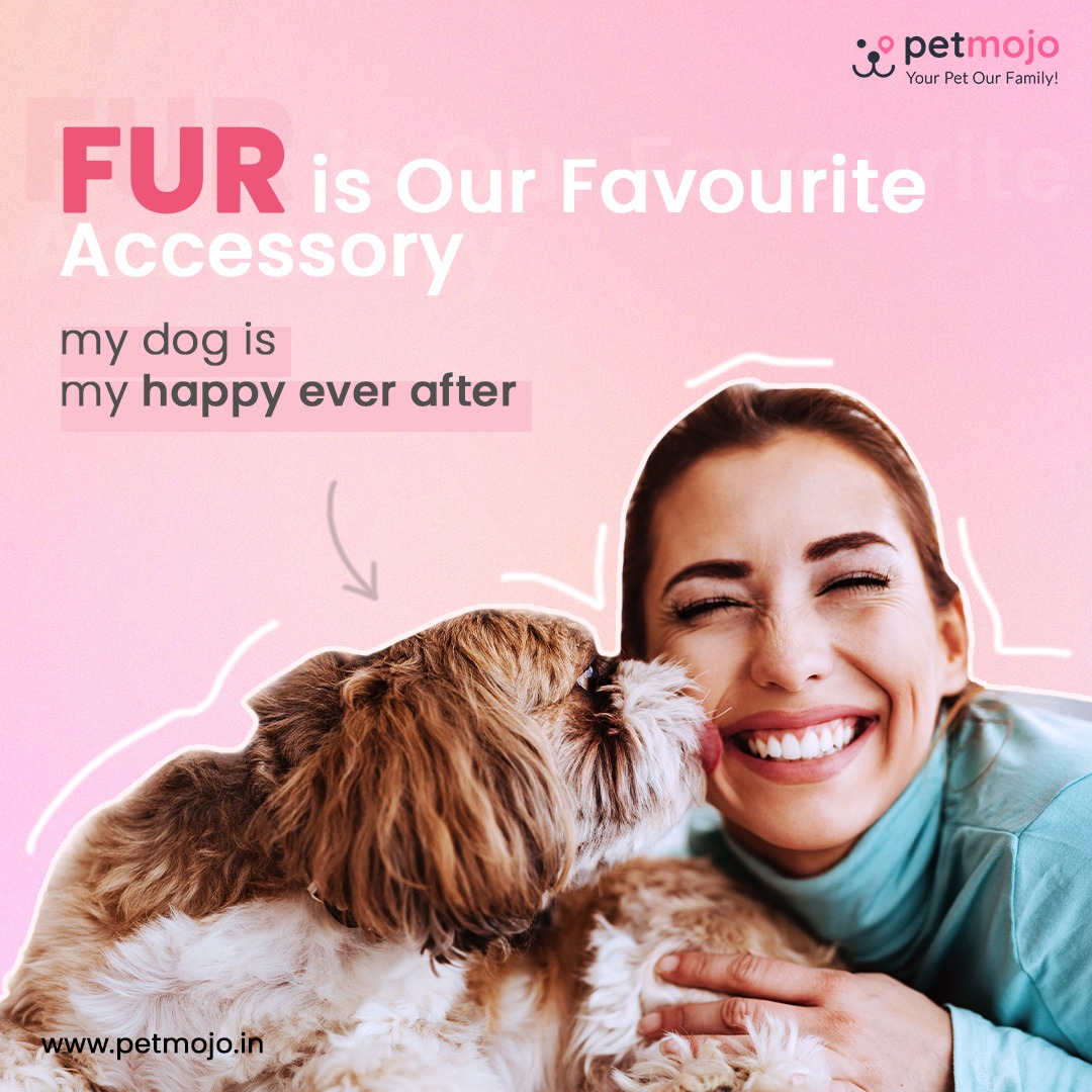 Petmojo_App's tweet photo. Drop a '❤️' if you Agree

Follow @Petmojo_App for more ✔️

#petmojo #petmojoservices #petcare #yourpetourfamily #dogs #dogsoftwitter #agree #relatable #dogtraining #doggrooming #dogexercise #petservices #dogwalking https://t.co/D5Y1u33rWo
