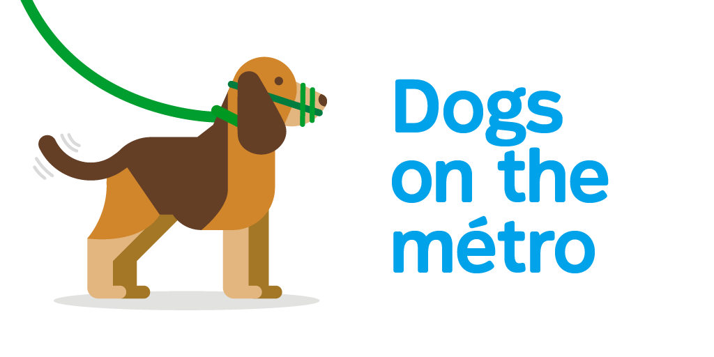 stminfo's tweet photo. [Dogs on the métro] 🚇🐶🦴 Starting this morning, you could come across beagles, poodles and labs in our trains, as the pilote project has now started in our métro network.

More info ⏩ https://t.co/oj8QGWrUku https://t.co/xwUA5Xg18U