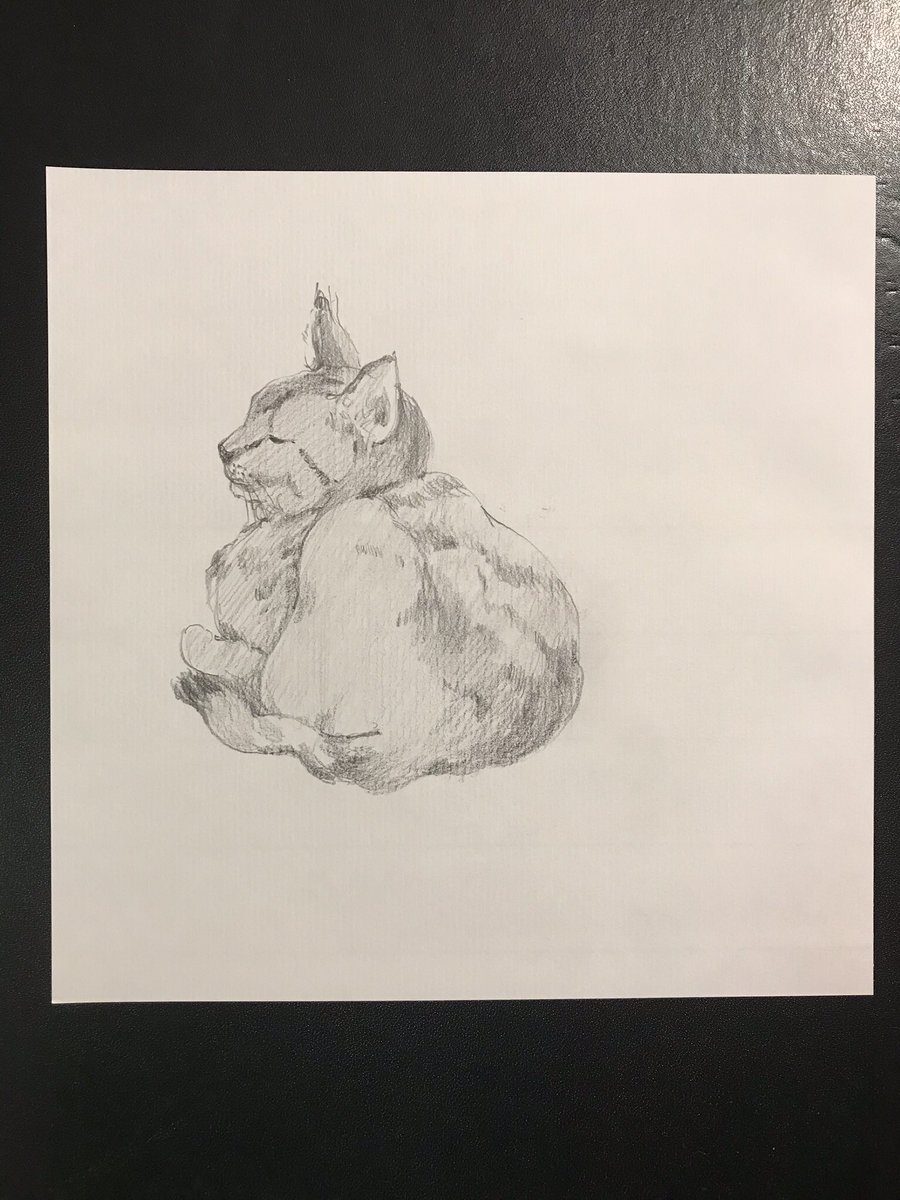 takashaya's tweet photo. #art #drowing #Pencildrawing #pencil #cat #chat #catze #gatto #猫 #ネコ #ねこ #美術 #美術家 #鉛筆 #鉛筆画 #鉛筆スケッチ #鉛筆ドローイング #ドローイング https://t.co/XIQOVWTB0U