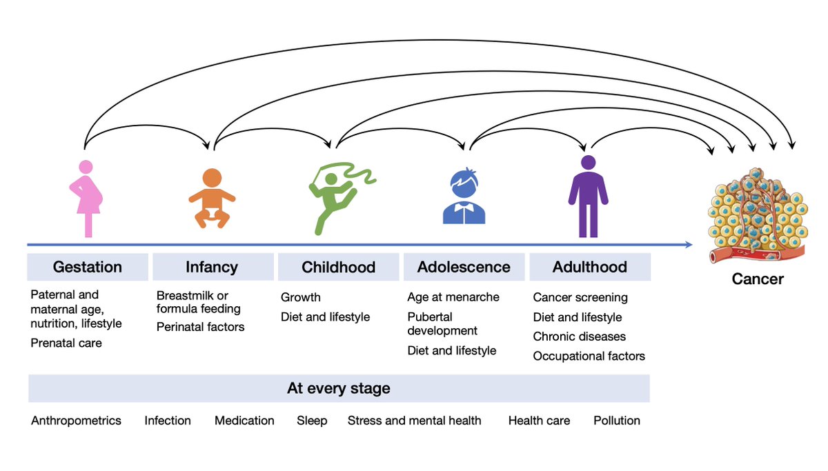 Fantastic @JNCI_Now commentary by @HSPHCancerEpi researchers @alainambever and @MingyangSong3 provides important perspective on early life exposures and #cancer risk (particularly early onset cancers) using lifecourse perspective pubmed.ncbi.nlm.nih.gov/36214630/