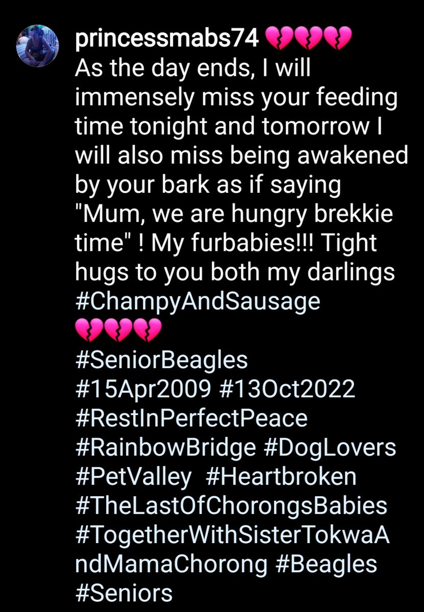 So very #heartbroken!#ChampyAndSausage #RainbowBridge #SeniorBeagles #FurBabies