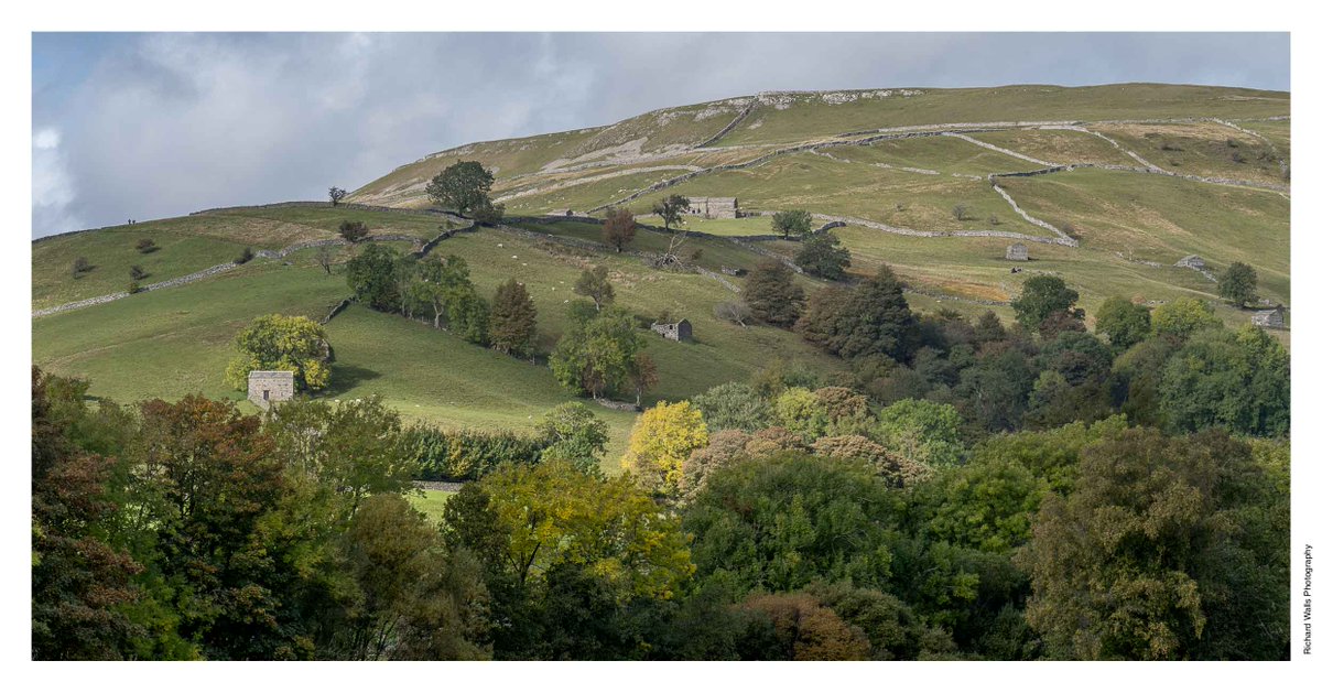 OSM_Photography's tweet photo. Autumn, Kisdon. It's one of those cold, but stunning autumn days today. #Swaledale #YorkshireDales https://t.co/xJCCnz2x4z
