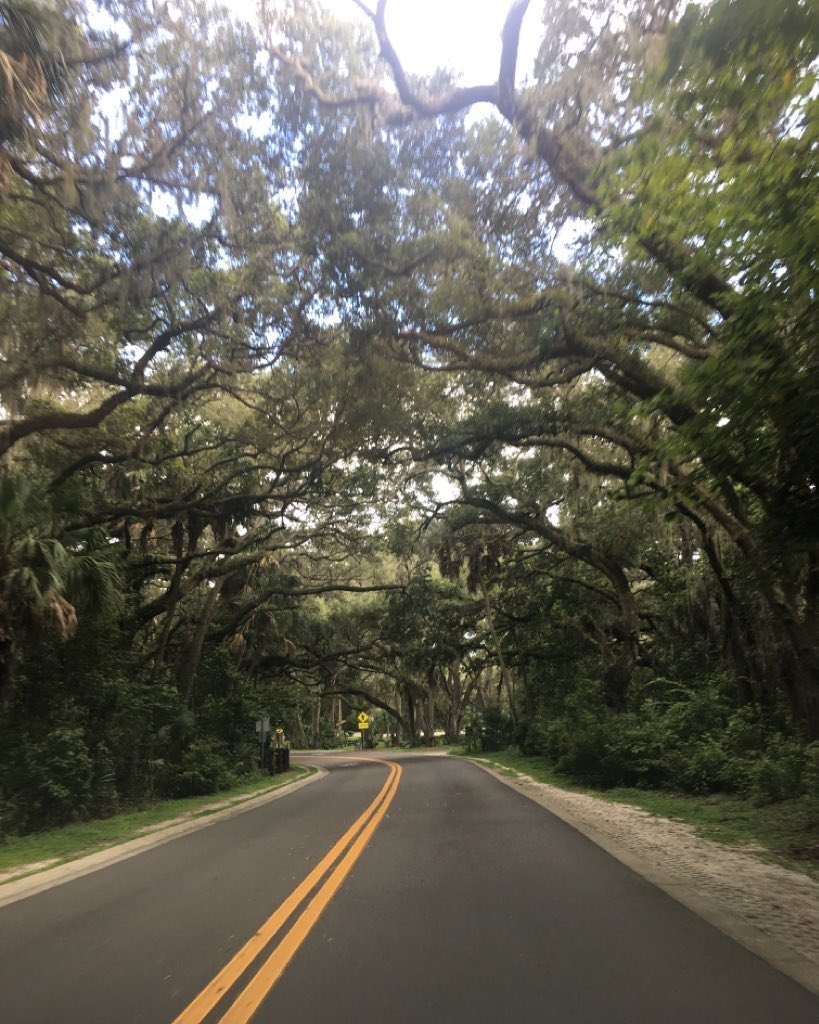 MillieMinet's tweet photo. Knarly old trees 🌳 a favorite old haunt… solo today ❤️🩹
Do something you #love today🍁🌤
#NaturePhotography #naturelove #SaturdayMood #trees
#memories 🐾 🚗🐶 #frametheshot 🍂 https://t.co/CNMI41i2kz