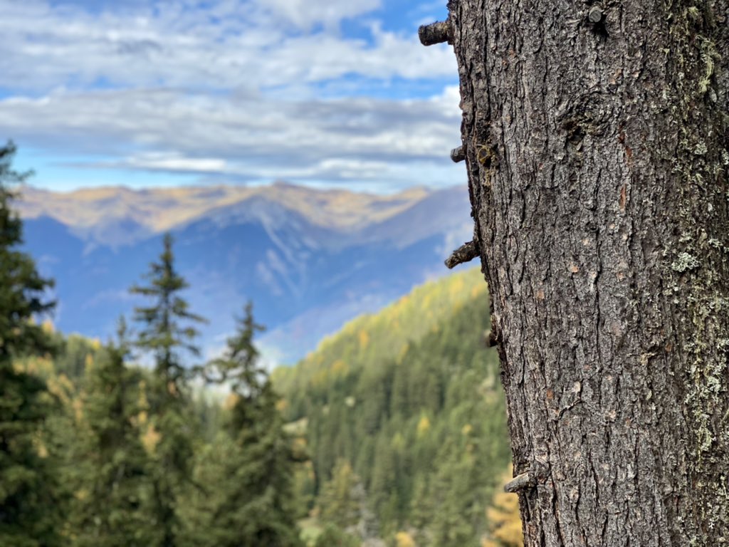 CreteCoteSki's tweet photo. 🏔🇫🇷 @LaPlagne offers beautiful mountain hikes! From #CreteCote up to Plagne 1800 &amp; across to Plagne Bellecote 🥾🙌

#LaCabine #MountainWalk #HonestyBar #FrenchAlps https://t.co/smyakrBTgv