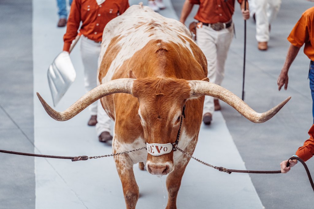 TexasFootball's tweet photo. The big fella is ready to go 🤘 @TexasMascot https://t.co/yKyrvTd3P1