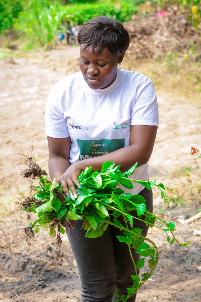 ypard_rdc's tweet photo. #JIFR Je m'associe à toutes les Femmes qui s'activent pour nourrir les zones Urbaines. Je voudrais par l'occasion féliciter toutes les femmes du réseau @ypard_rdc qui sont engagées dans l'agriculture rurale. Vous êtes nos héroïnes.@muindaantoinet1 @Annie34088079 @Banzuzichriste3 https://t.co/N1y4YDMN1f