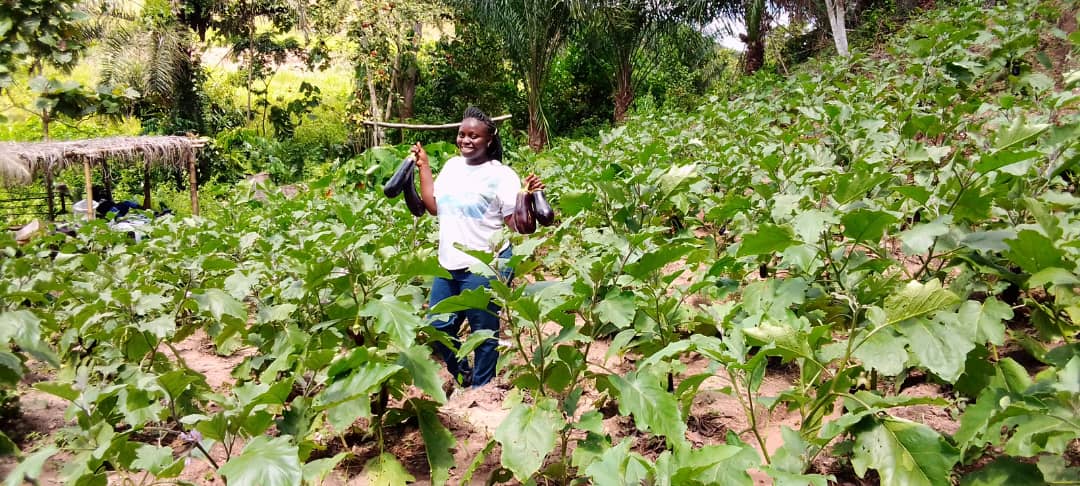 ypard_rdc's tweet photo. #JIFR Je m'associe à toutes les Femmes qui s'activent pour nourrir les zones Urbaines. Je voudrais par l'occasion féliciter toutes les femmes du réseau @ypard_rdc qui sont engagées dans l'agriculture rurale. Vous êtes nos héroïnes.@muindaantoinet1 @Annie34088079 @Banzuzichriste3 https://t.co/N1y4YDMN1f