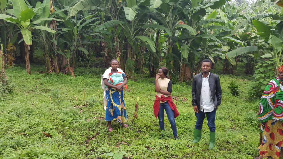 ypard_rdc's tweet photo. #JIFR Je m'associe à toutes les Femmes qui s'activent pour nourrir les zones Urbaines. Je voudrais par l'occasion féliciter toutes les femmes du réseau @ypard_rdc qui sont engagées dans l'agriculture rurale. Vous êtes nos héroïnes.@muindaantoinet1 @Annie34088079 @Banzuzichriste3 https://t.co/N1y4YDMN1f