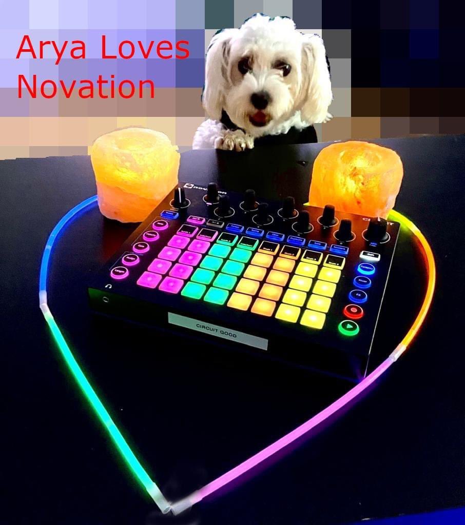 Seems my dog shares my passion
<a href="/WeAreNovation/">Novation</a> #MadeWithNovation