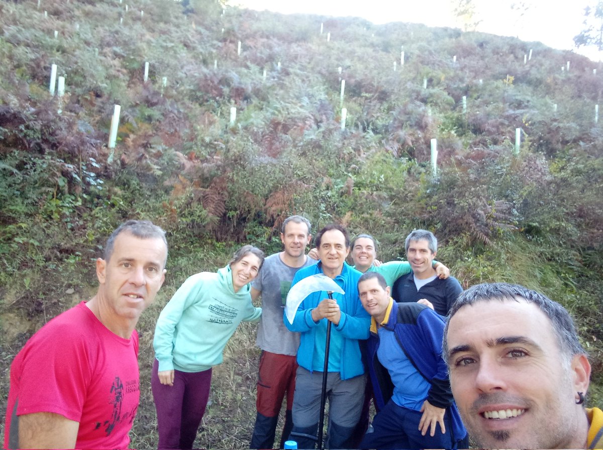 hostozabal's tweet photo. Gaurkoan, bereganatutako eremu batean "garbiketa lanak" egiten ibili gara elkarteko kide batzuk. Oso indartsu datoz zuhaitz berriak. Badatoz baso berriak! #Berriatua
#Basobiziak https://t.co/Z3mQRGT2Ym