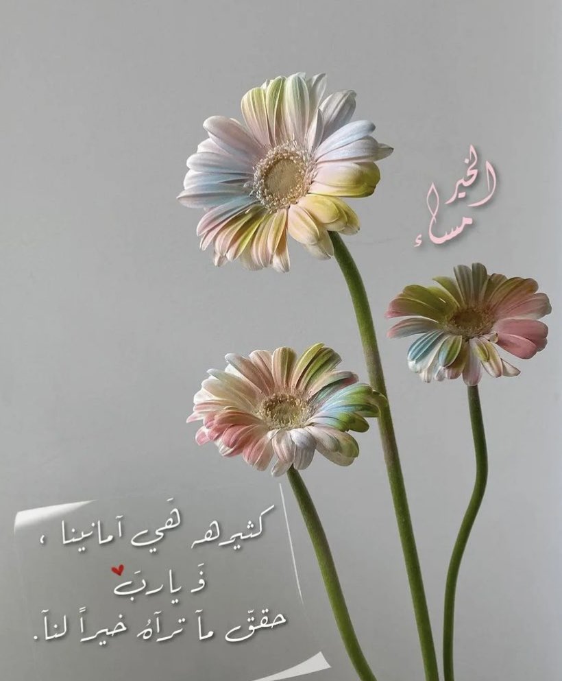 fsfs59951's tweet photo. اللهم أسعدنآ في أبسط تفاصيل حيآتنا
 وقرب لنا الخير حيث كان وارضنى به.

#مساء_الخير 
#مساء_الخير_والسعادة
#الطائي_الهلال https://t.co/rqH1K2Vbzv
