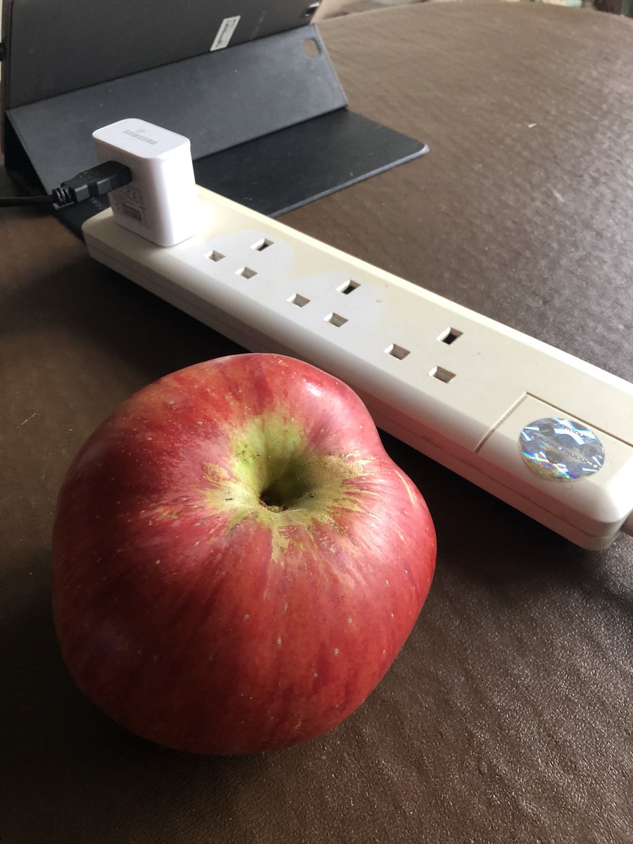 Apples have definitely had a bumper year. (Sockets for scale)