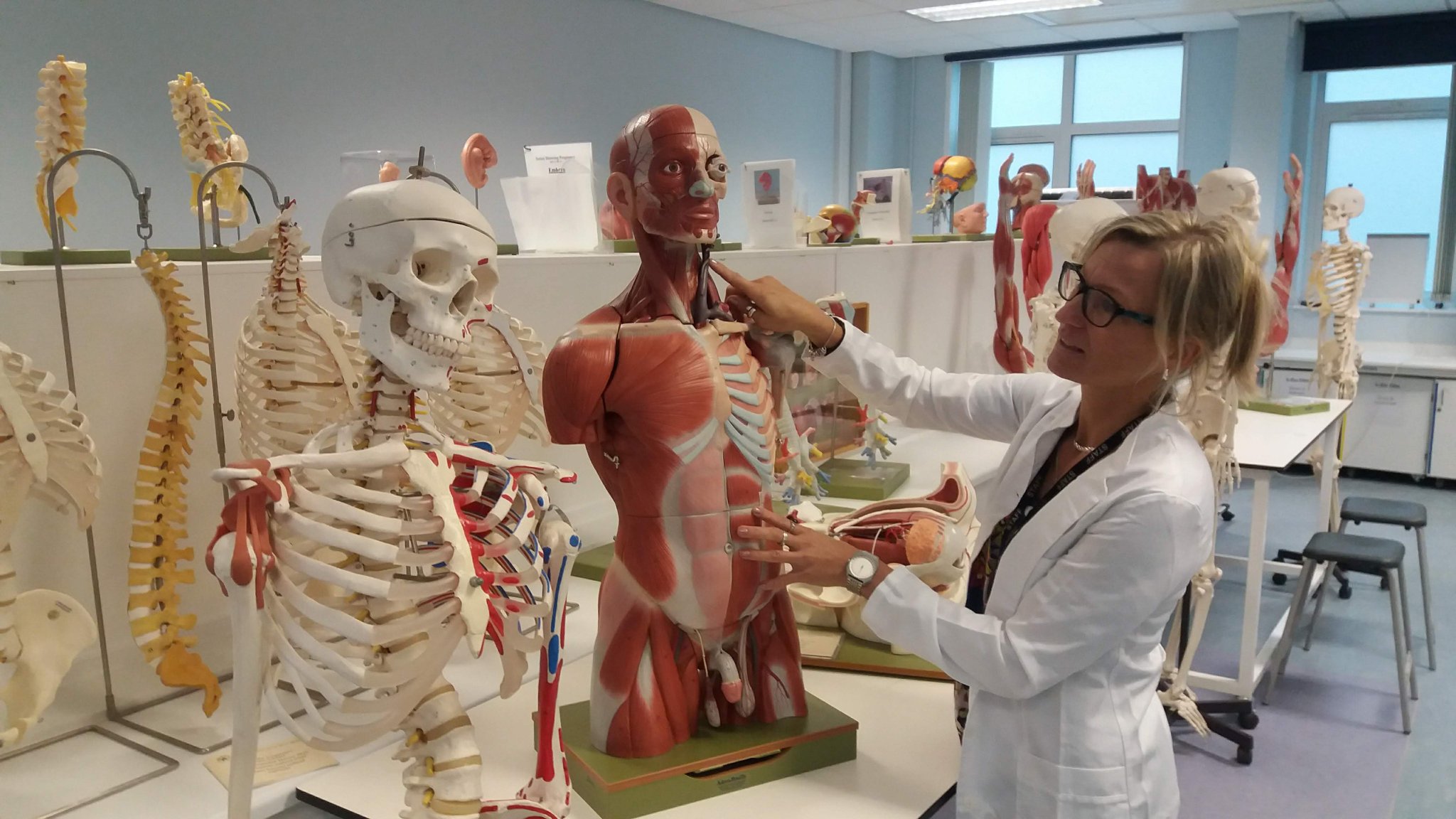 Anatomical Society on Twitter "Interested in a career in Anatomy? 