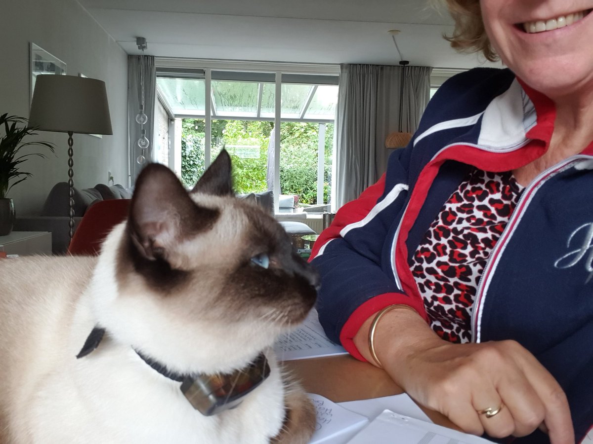 FeddePetit's tweet photo. Jommens, Petmom heeft mijn Akkaunt  nog niet op haar nieuwe belbakkie gezet. Daarom hoor je niet sofeel van mij. Su is druk. Maar ikke niet, dus ik help haar  met al haar papieren . Soms duurt het me te lang en dan trek ik aan de dingetjes op taful.... maar dat vin su niet goet. https://t.co/GtB65COUmN