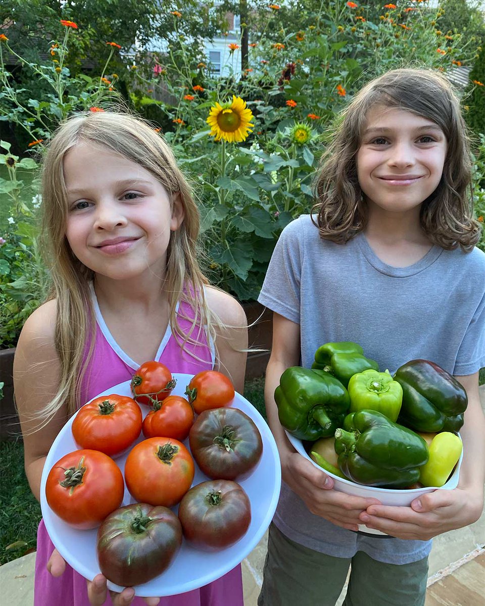 Burpee coworker garden spotlight: Jen's bountiful harvest🍅 Thanks for sharing!