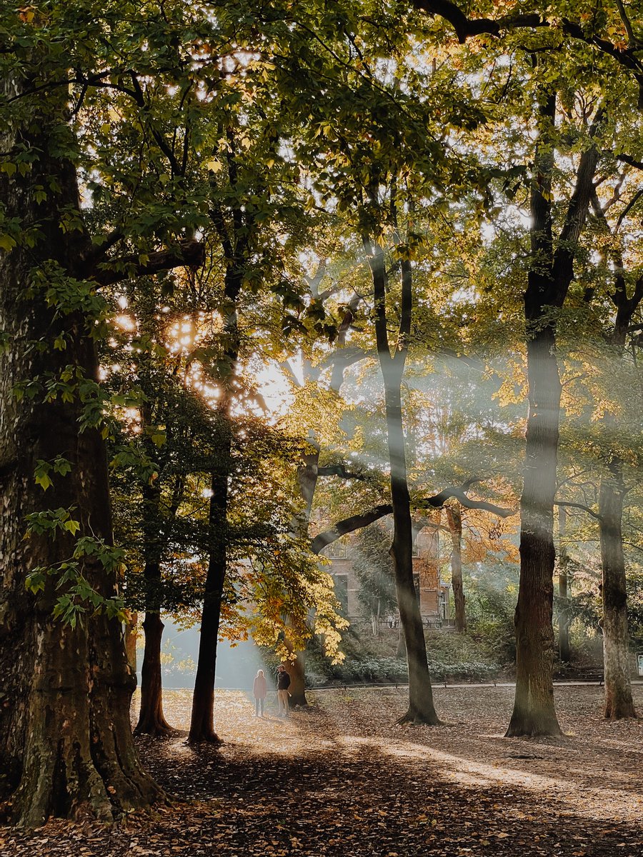 Hartje Utrecht tweet media