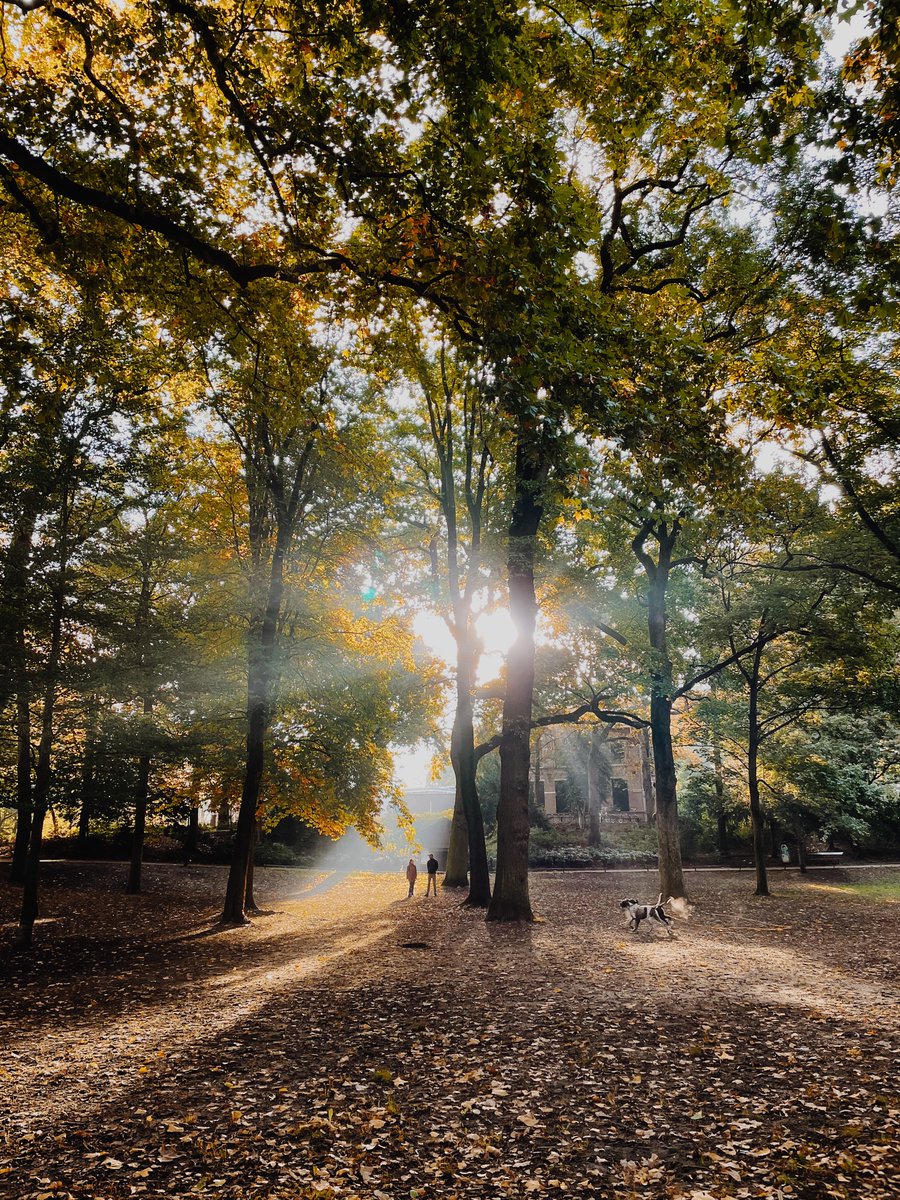Hartje Utrecht tweet media