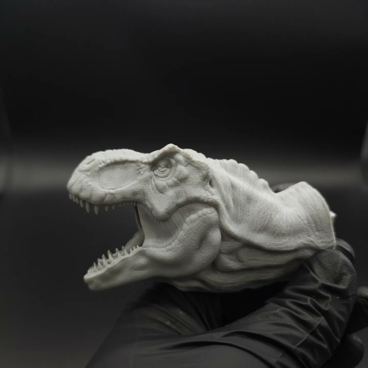 3DForest's tweet photo. "TREX HEAD" 3D Printing 

TREX is being printed and I only release the picture of head first

#3dprinting #3dprint #trex #dinosaur #resinpainting #resinprint #miniature #3d프린팅 #티렉스 #공룡 https://t.co/OalxPQqaAh