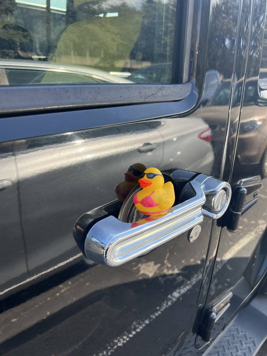 Caitlin (Carey) Arenas Martinez tweet media