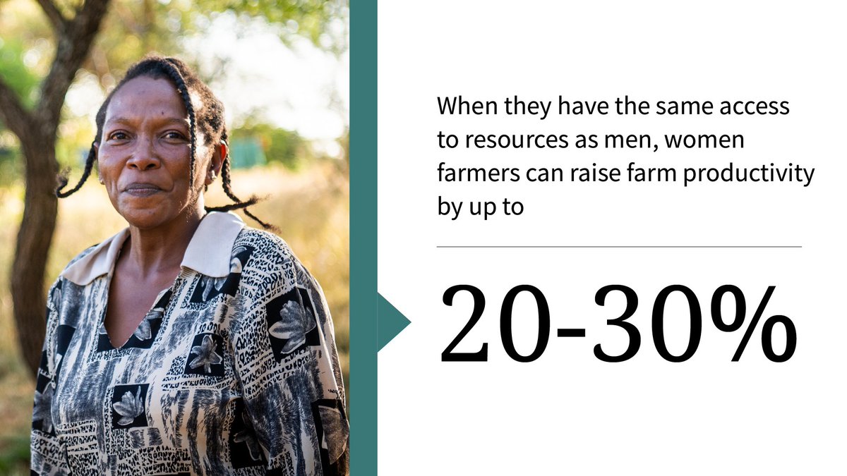 #DYK – supporting women farmers improves farm productivity, family food security and nutrition, and community climate resilience. That is why it is so important to recognize the role of women in our food systems on the International Day of #RuralWomen.