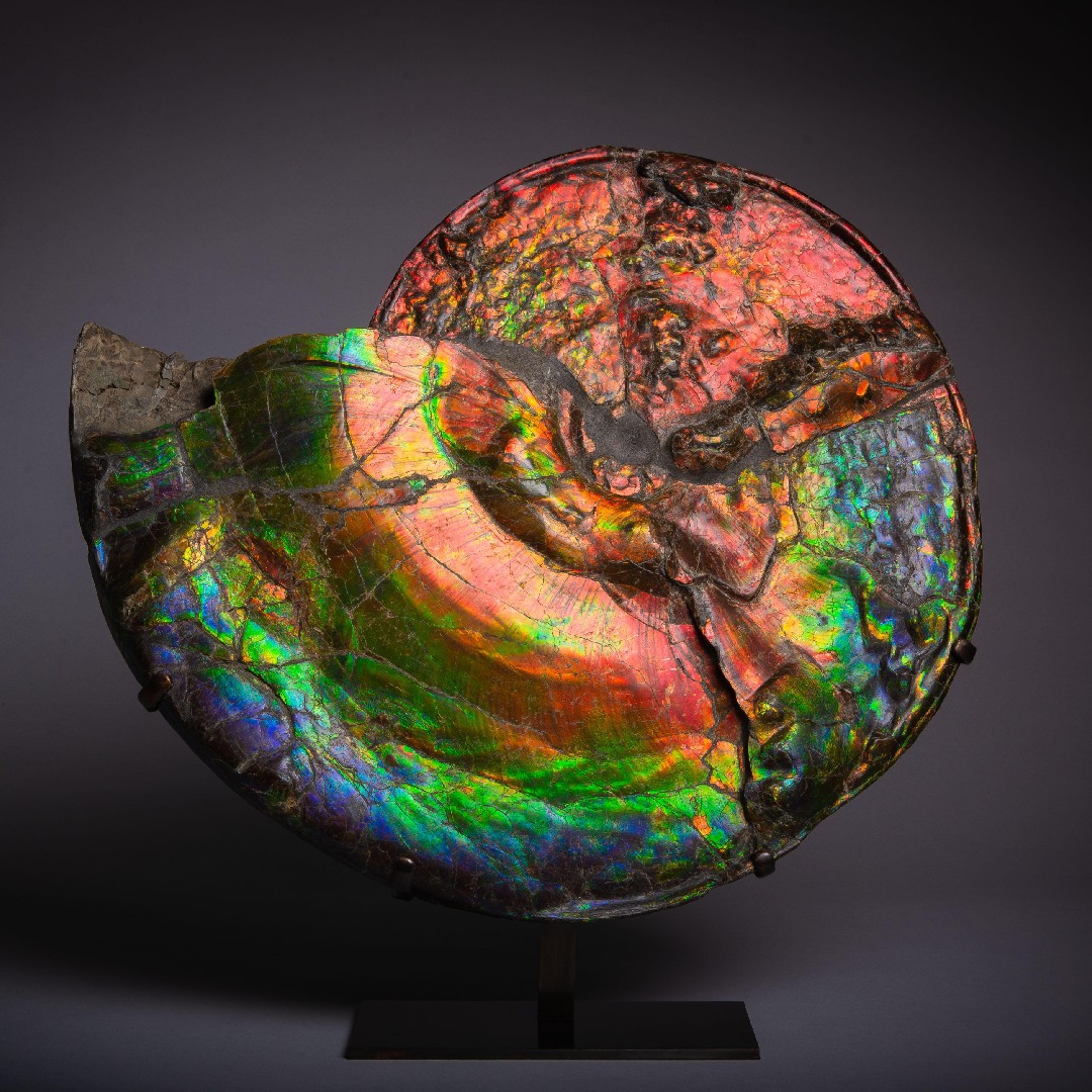 1stDibs (@1stDibs) / Twitter