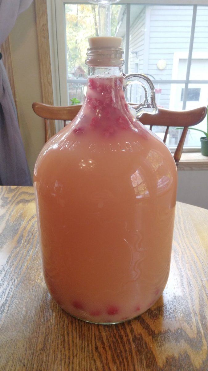 KnightDivining's tweet photo. Raspberries successfully added 😍 Now to let them soak for a week & then siphon into a different container. Will allow it to age for an additional 2-3 weeks before bottling.
#mead #honeywine #honeymead #nectarofthegods #beginner #newhobby #raspberrymead https://t.co/pcNNkCdGvd