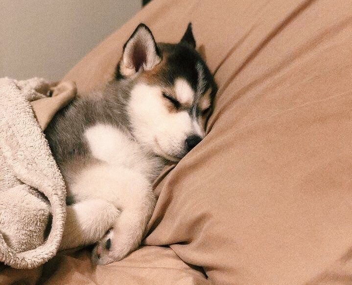 IndirectaTime's tweet photo. mood. https://t.co/2EBYbInOFn
