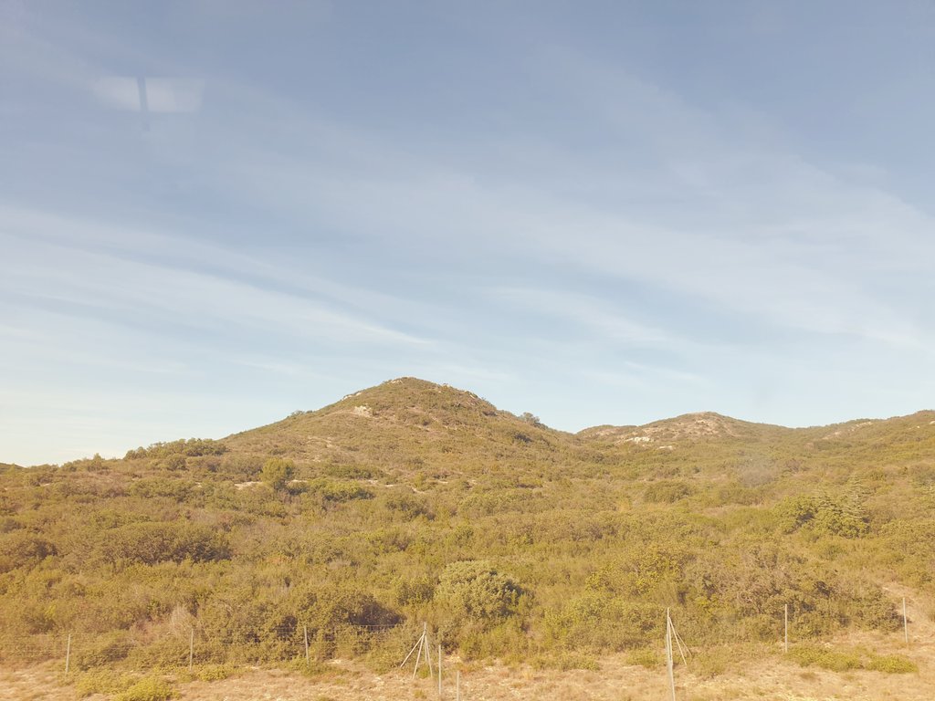 In the train on my way back from #CCG2022 of the @GlialClub + #GDRMicrogliaNeuroinflammation <a href="/SophieLaye/">GDR microglia&neuroinflammation</a> in the beautiful south of France. Exciting discussions in a very friendly atmosphere. Warmest thanks to the organisers, colleagues, friends and young PhD and PD. See u soon!😊