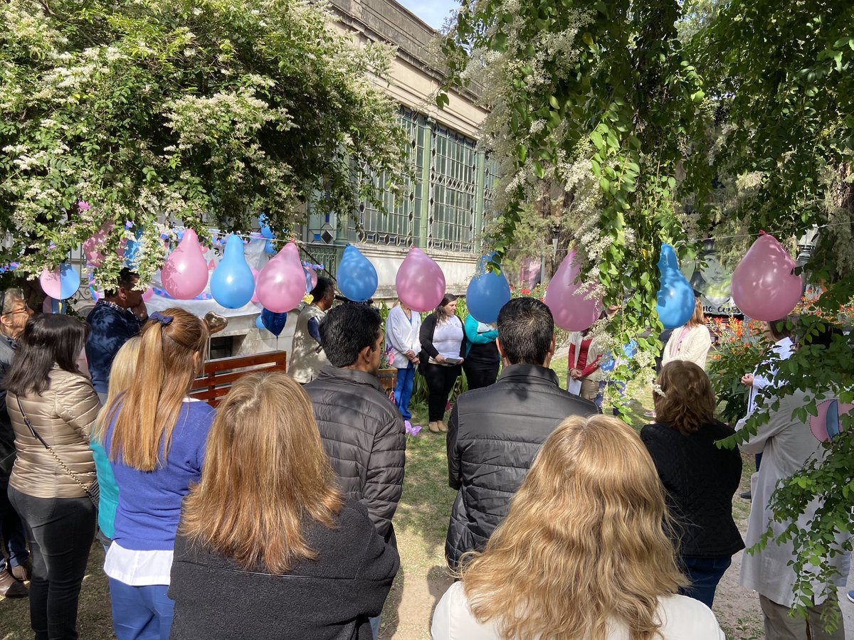 BetinaFlorito's tweet photo. ▪️15 de Octubre - Día del duelo Perinatal 

Día de la Concientización sobre la Muerte Gestacional y Perinatal, con el objetivo de visibilizar el duelo de las familias que pierden un embarazo o un bebé durante el parto o al poco tiempo de nacer. https://t.co/DwB2JPVG05