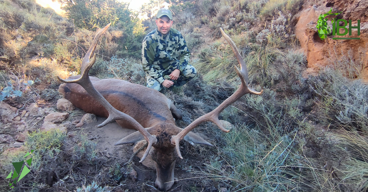 iberhunting's tweet photo. We don't stop! 💪 Rut time is the best when you want to hunt a good Red Deer in Spain 💯
.
#iberhunting #hunting #hunt #huntingspain #reddeerhunting #redstaghunting #redstagsafaris #redstaghunt #deerstalking https://t.co/B0pUY8thpW