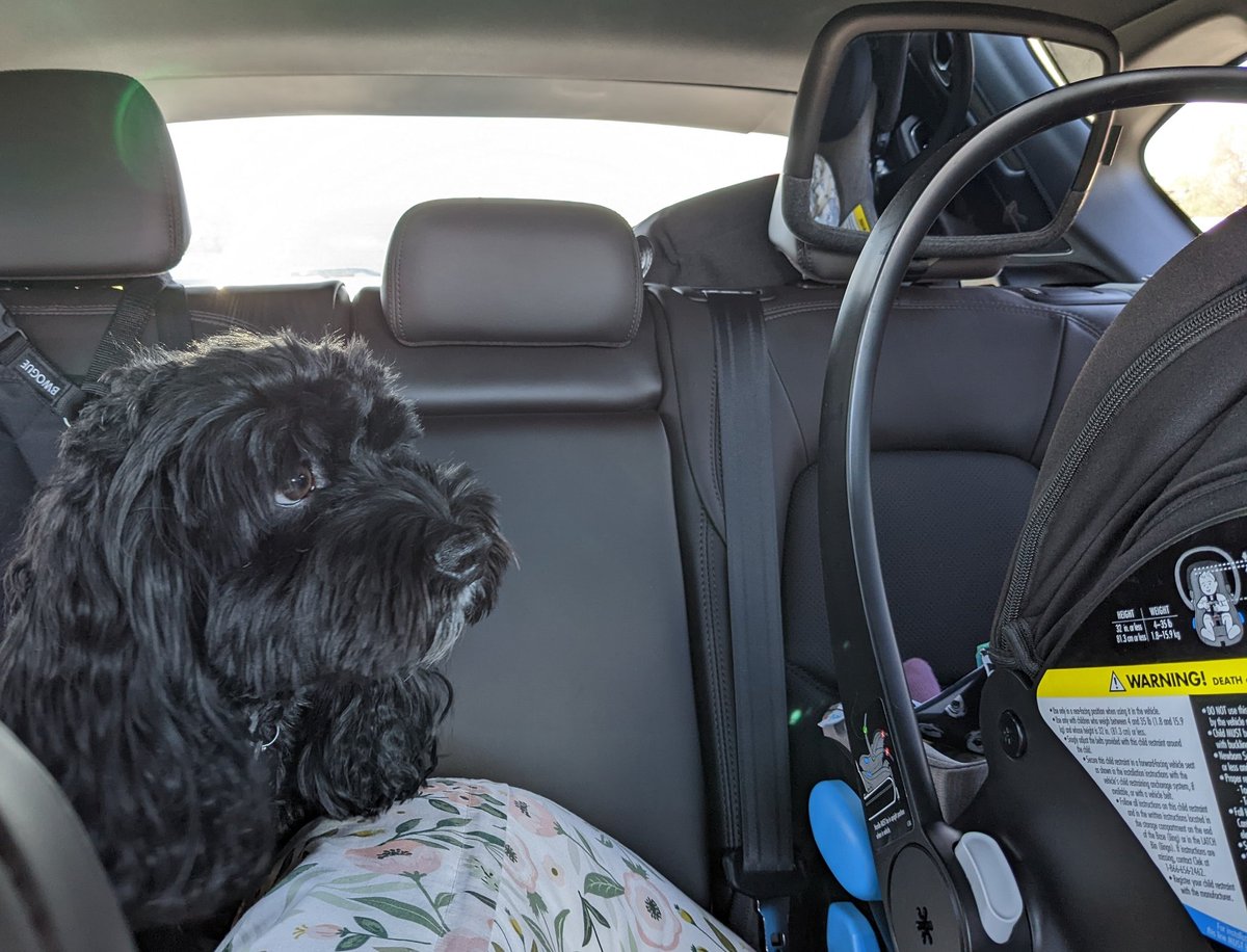 Ollie's keeping a close eye on his little sister during her first road trip. #FiO22 here we come! #Rochester #HomeSweetHome