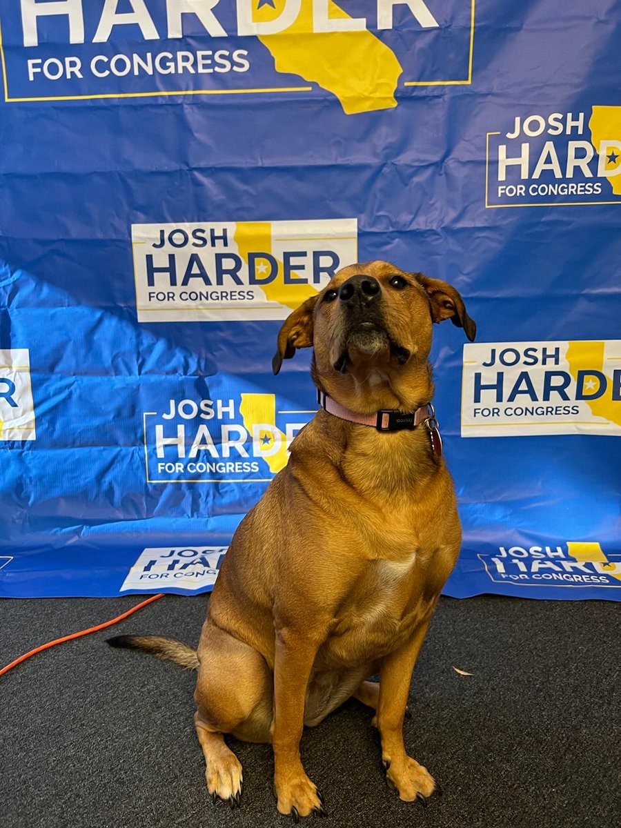 JoshHarder's tweet photo. Cali absolutely insisted on testing the new backdrop. https://t.co/MzqmKF8RyO