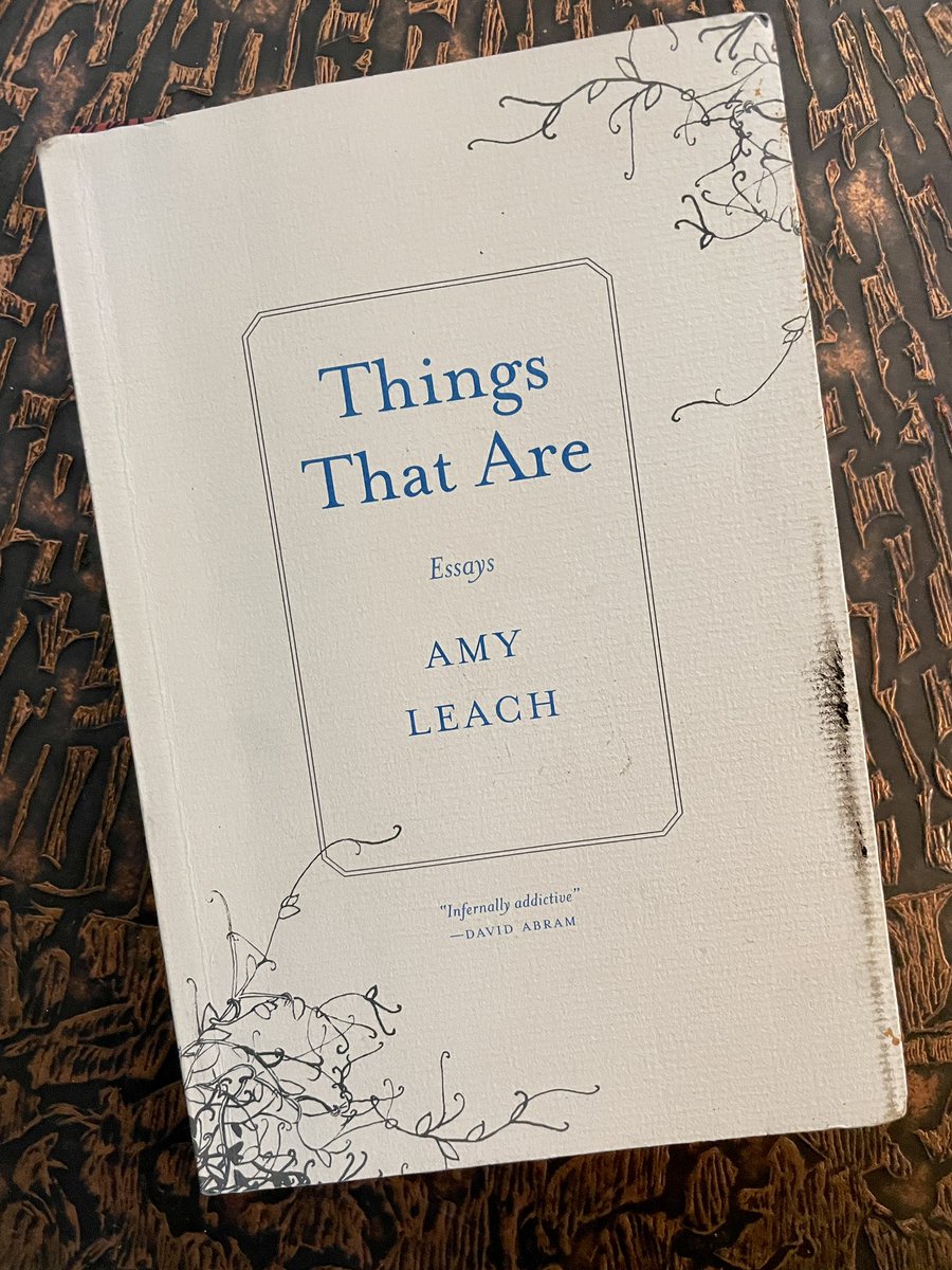 m_garrigan's tweet photo. Super late to this Amy Leach book but holy moly is it wonderful! Just look at how she goes from donkeys to Thelonious Monk to this beautiful crescendo…

I gotta find a way to teach this book in my AP Lang class. @Milkweed_Books https://t.co/4ChGZjeUDL