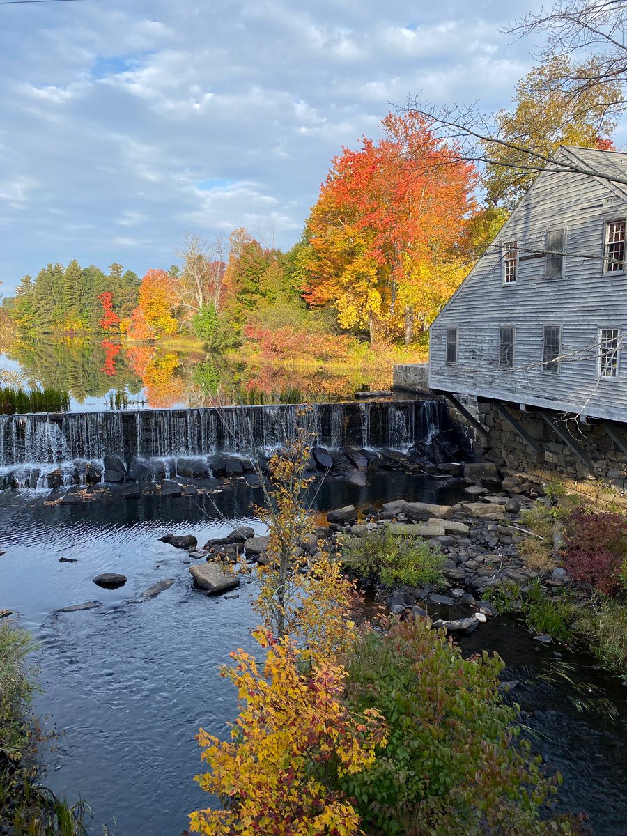 Boston Shadow tweet media